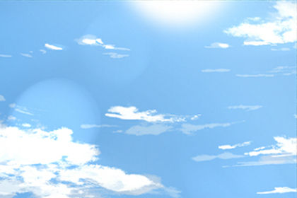 發財樹擺放禁忌發財樹不能放哪裡