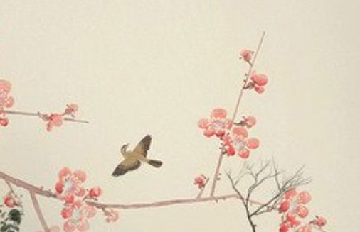 車牌號為什麼不能帶2 尊貴的牌號字母