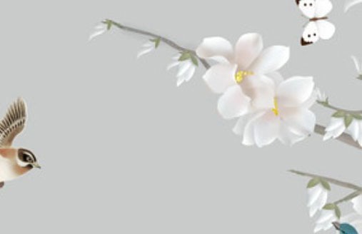 選車牌號有什麼講究嗎 風水選號可避凶禍