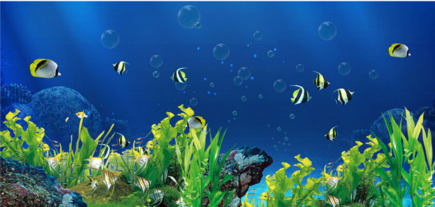魚缸背景選擇什麼圖案對風水好