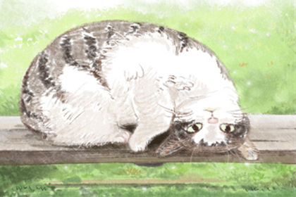 如何裝修玄關地面,要量身定製