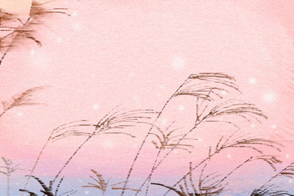 枕頭邊放什麼可以去煞氣