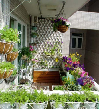 風水形煞廉貞煞如何化解