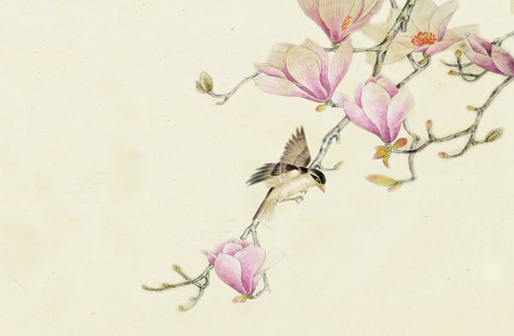 屬牛的初幾出生最好命,生肖牛最命苦的出生日期