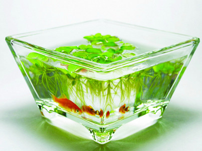 家居裝飾品的擺放