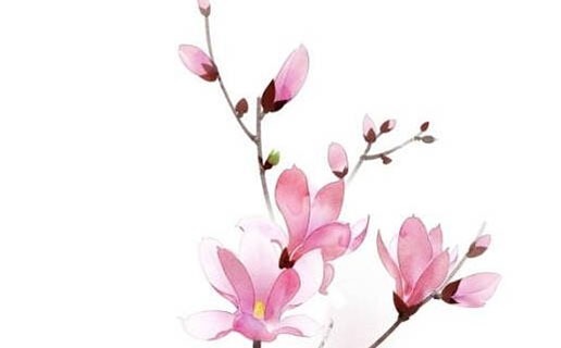 午時出生的男寶寶五行缺什麼 午時出生的男生性格如何