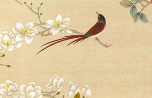 生肖屬雞最佳手機號 屬雞人的開運數字盤點