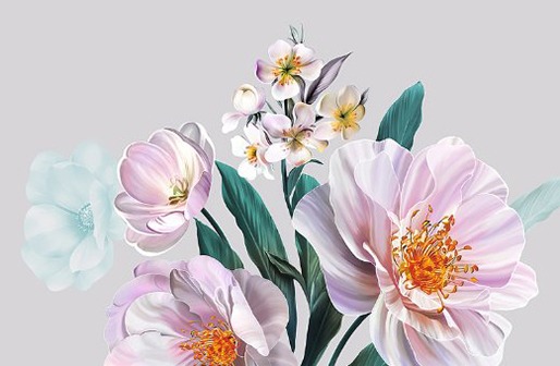 屬牛的幾日出生最好,生肖牛最適合幾月出生