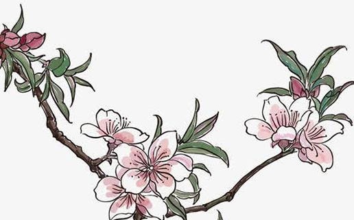 2021年最佳懷孕月份 屬虎人非常有責任心