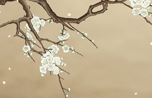 虎年哪天出生最好命 生肖虎中年運勢浮沉未定