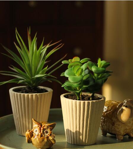 辦公桌擺放什麼植物好