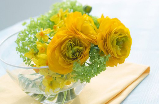 屬牛生於幾月最好命,生肖牛幾月生是一等命