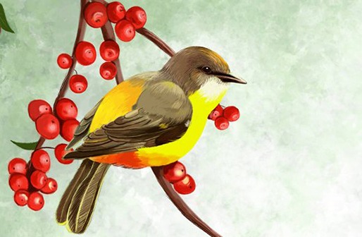 屬牛人哪天出生命最好,生肖牛幾月生能走好運