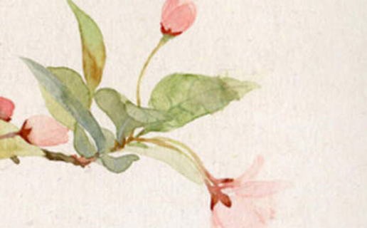 午時出生五行屬什麼命 午時出生的人性格怎麼樣