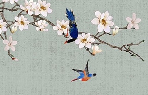 小車車牌號碼選吉祥號 選號技巧詳解