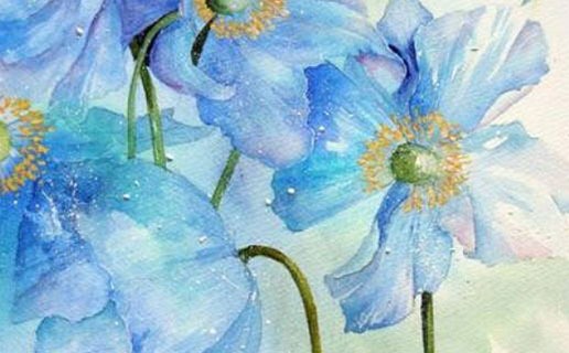 幾月份牛是破月 化解破月的方法有哪些