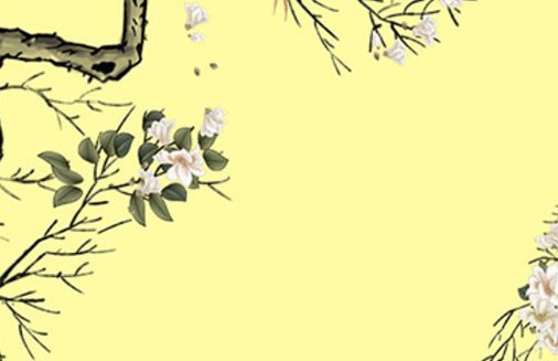 車牌號尾號是0吉利嗎 磁場興旺的牌號盤點