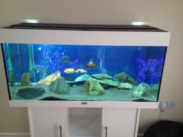 家居風水說:水浸眼眉、地位低微