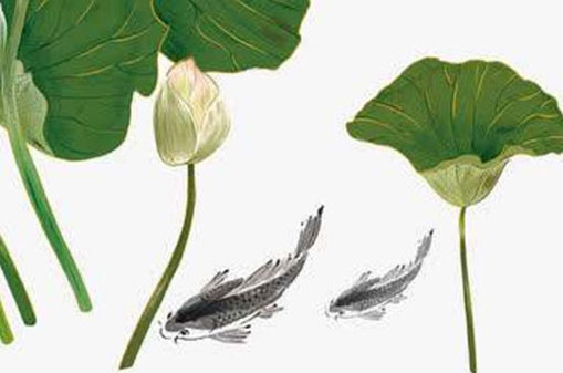 時辰出生註定發財 午時男孩有男子氣概