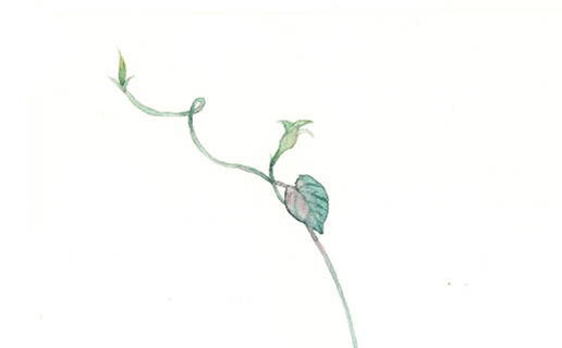 男人幾月出生是富貴命 幾月出生的男人命最好