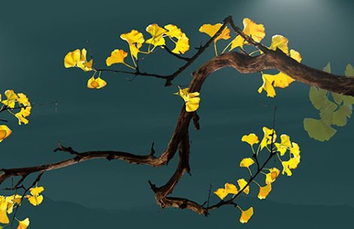 為什麼車牌尾數不要5 利財運車牌號