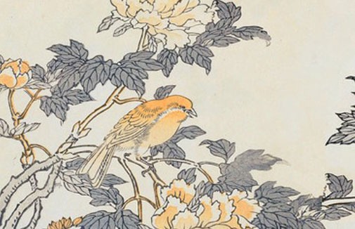 車牌號50選1訣竅 選大吉大利的車牌號碼