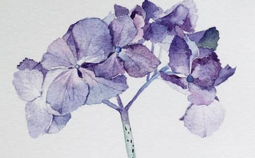 2021年出生每月寶寶運程解析 八月出生的牛寶寶身體很健康