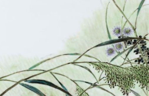 什麼車牌號碼最吉利 想發財就選牌數6