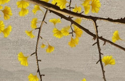 手機尾號帶0好嗎 財運最強的手機號碼