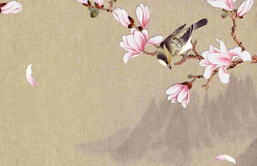 測車牌號碼吉凶查詢表 個性旺財的牌號