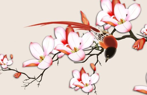 車牌號選7都是什麼人 數字7有助於事半功倍