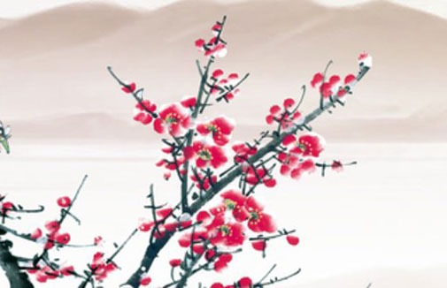 自選車牌號怎麼選靚號 最新版靚號數字須知