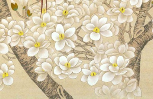 屬猴的最旺的手機號 生肖猴的吉祥數字