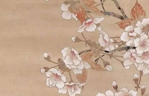 怎麼從手機號碼看運勢 磁場密碼數字解析