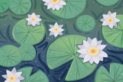 店面觀音菩薩的擺放位置