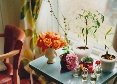 花瓶的擺放與禁忌