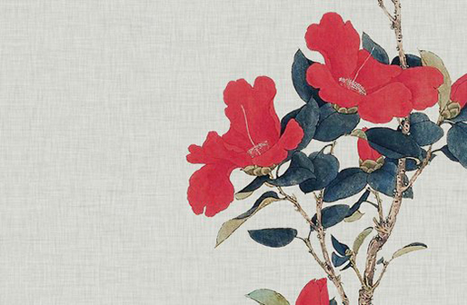 屬牛人出生日命運,生肖牛最富貴的出生時辰