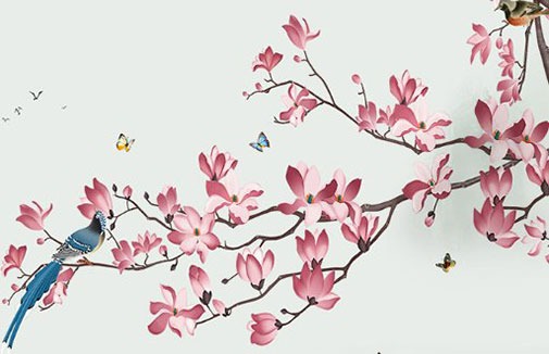 車牌26個字母標準讀音 五行選最旺車牌號