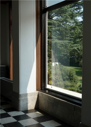 庭院種樹6大風水禁忌，你了解多少？