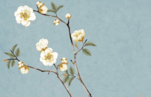 1978年屬馬的幸運數字 手機號中的\