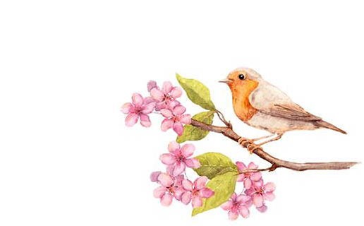 金牛幾月份出生最好命 正月出生的寶寶命最好