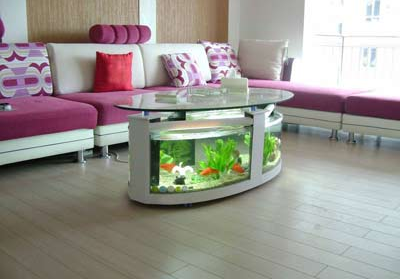 新年風水去霉運招財運