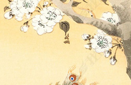 為什麼車牌尾數不要0 吉祥的熱門牌號