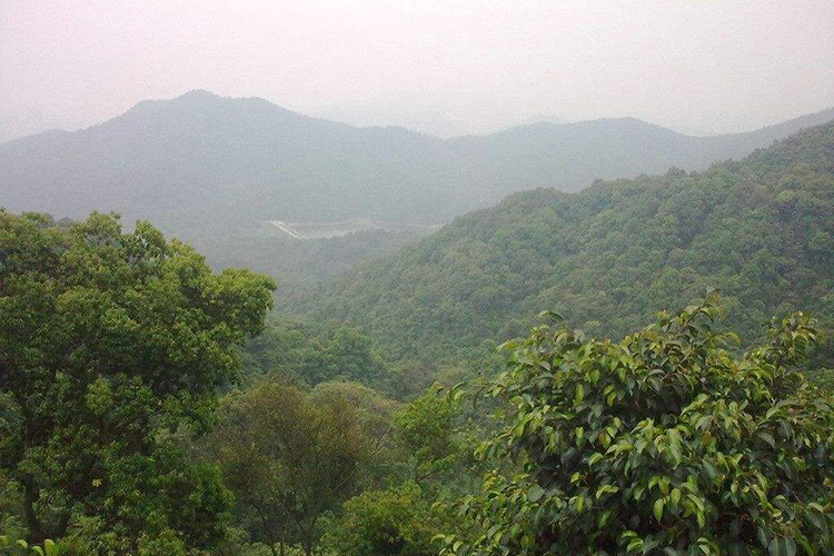 農村看墳地絕招 簡單挑選好墳墓