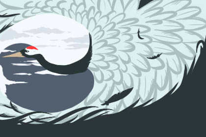 銀龍魚死了是擋災的嗎 怎麼說