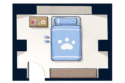 客廳植物風水講究 好綠植才能鎮宅