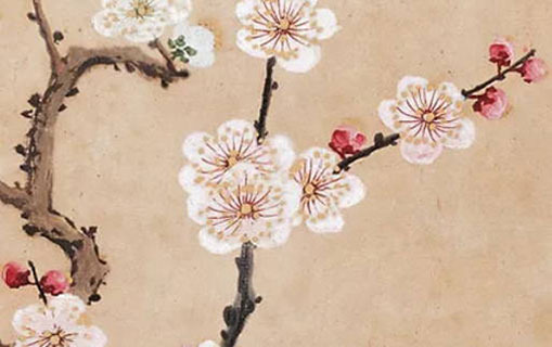 六月六生的人是什麼命 健康飲食需注意