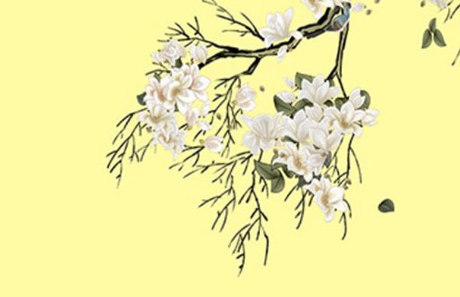 車牌最後一位是A字母 吉祥順口的牌號集錦