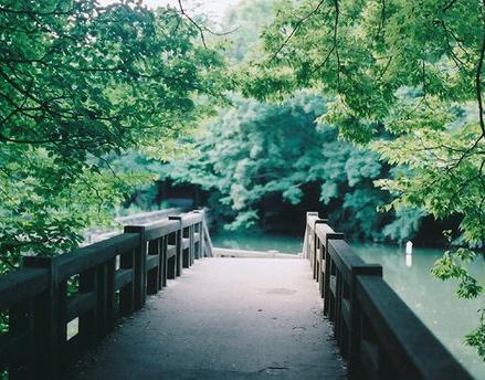 別讓異味破壞你家好風水