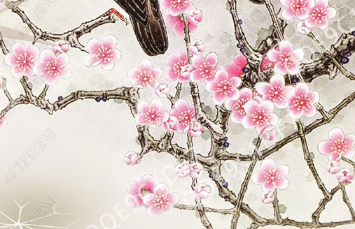 車牌尾數為什麼流行7 自帶財運的大吉號碼